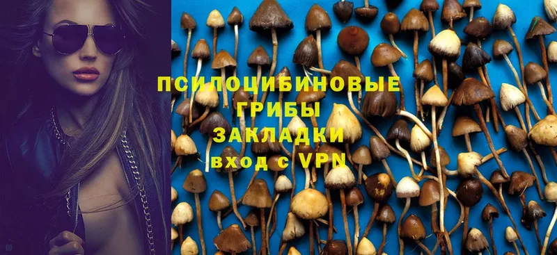 Псилоцибиновые грибы MAGIC MUSHROOMS  где купить   Болхов 